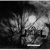 Join Me In The Night