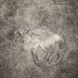 Once When I Was an Indian