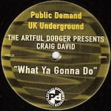 What Ya Gonna Do (Artful Dodger mix)