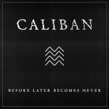 Before Later Becomes Never