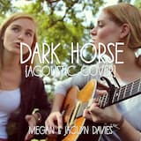 Dark Horse (Acoustic Cover)
