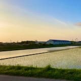 生まれただけ。