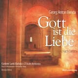 Gott ist die Liebe: Festo Pentecostes - Recitativo a 4: Geht, Menschen hin zu der Natur