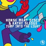 Jump Into the Light (Aeroplane extended remix)