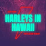 Harleys In Hawaii (TheFalseGab Rework)