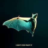 I Don’t Even Want It