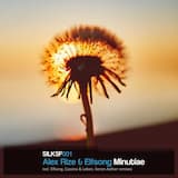 Minutiae (Elfsong’s chillout remix)