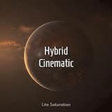 Hybrid Cinematic