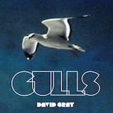 Gulls