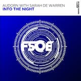 Into the Night (extended mix)