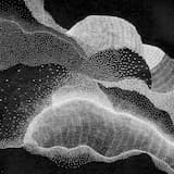 The North Wind (Daigo Hanada re‐work)