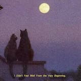 I Didn’t Feel Well from the Very Beginning