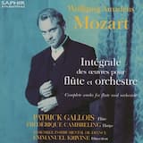 Concerto pour flûte et orchestre nº1 en sol majeur (K. 313) : Allegro maestoso