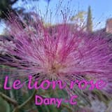 Le lion rose