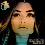 Heart to the Ocean (radio mix)