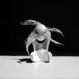 An Assemblage / Construct for 45 Voices