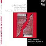 Suite pour deux clavecins g-moll: I. Allemande