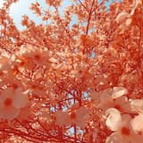 Messing With the Settings