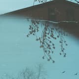 No Place Without Pain