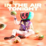 In The Air Tonight (Extended Mix)