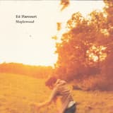 Hanging With the Wrong Crowd