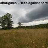 aborigines - Head against herd (other version)