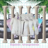 Ｃｈｌｏｅ赤ちゃん ❤️