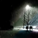 Dashy / Hearth's Warming Eve