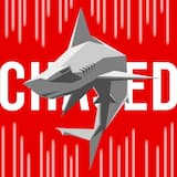 Chased By The Hammerhead Robot (BETTOGH Remix)