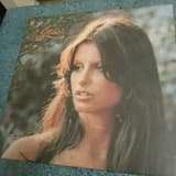 The Hand That Rocks The Cradle