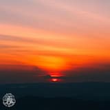 Coffee in the Morning