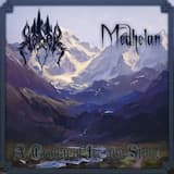 The Last Will of the King