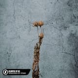 Glimpse of Us (acoustic)