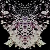 𝙎𝙩𝙧𝙞𝙠𝙚𝙨