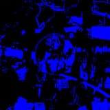 desperately howling at the moon