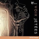 Still Life with Avalanche