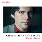 Sonate, op. 24 no. 1 en fa dièse mineur: Allegro molto moderato e grave