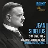 Sinfonie Nr. 2 D-Dur, op. 43: I. Allegretto