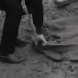 when reality comes knocking