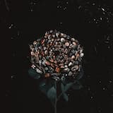 Highway Contemplation