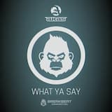 What Ya Say