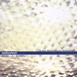 Duke Mushroom Presents Mellowtron