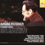 Violin Sonata No. 1, Op. 18 (2004 Revised Version): I. Allegro molto