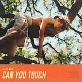Can You Touch
