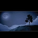 We Will Fall Together