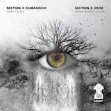 Dream Within a Dream