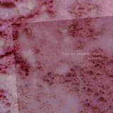 Trembly the Surface of Water