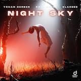 Night Sky