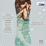 Four Tone Poems after Arnold Bocklin, op. 128: I. Der geigende Eremit