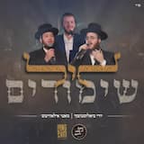 ליל שימורים